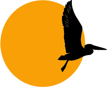 Geometric Pelican