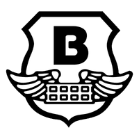 Brinks Israel